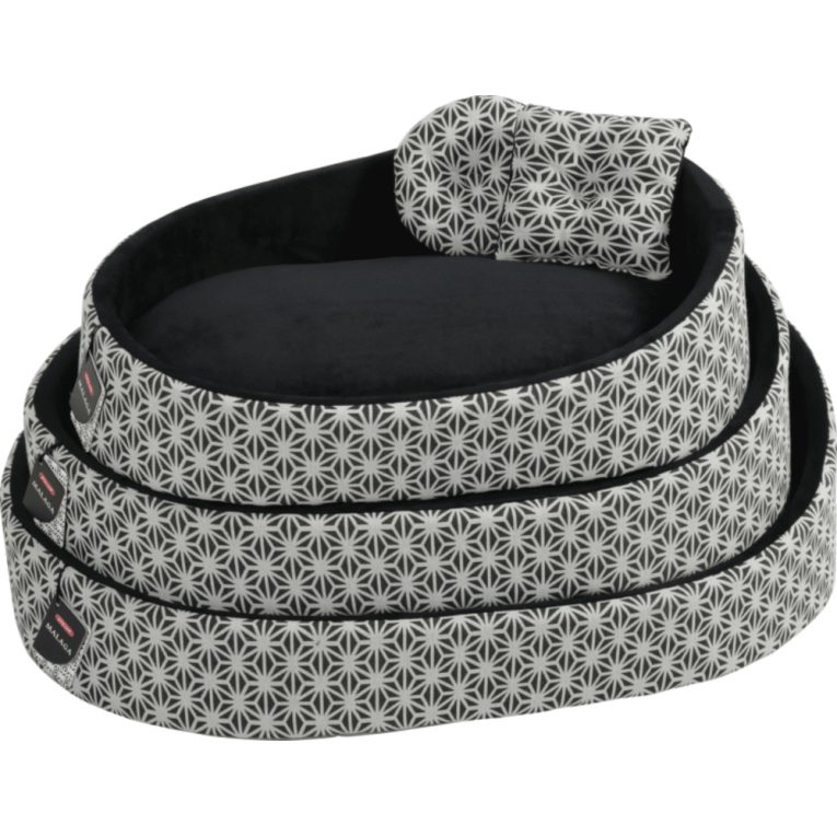 download - 2023-11-10T213130.529 (1)