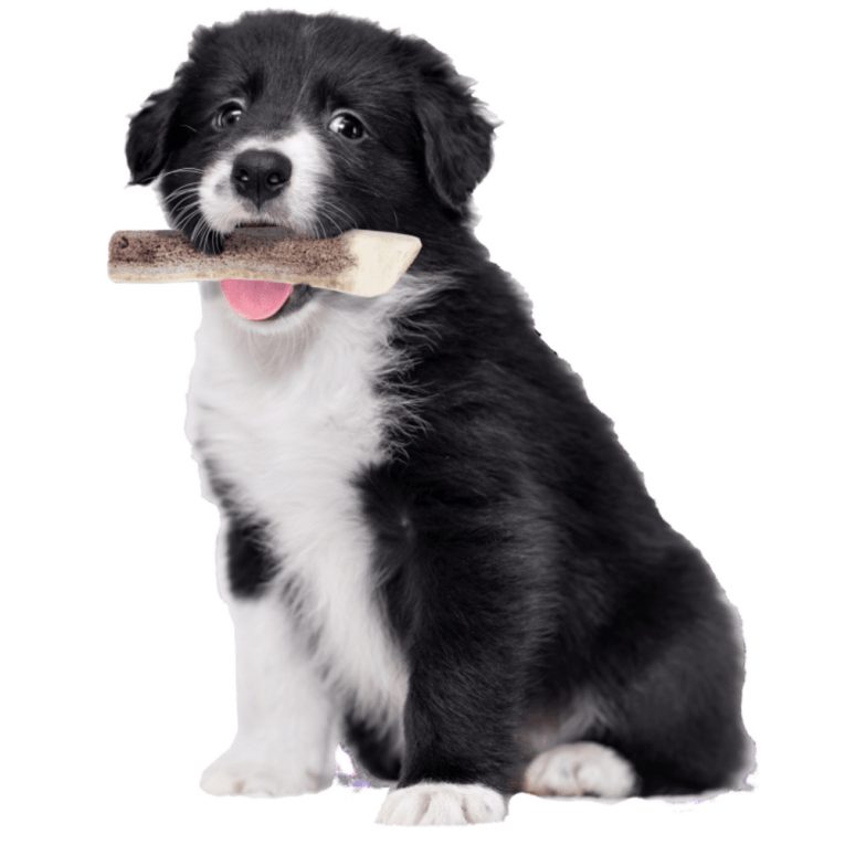 download - 2023-11-10T213224.337 (1)