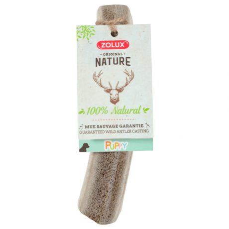 Zolux Natural Deer Antler for Puppy