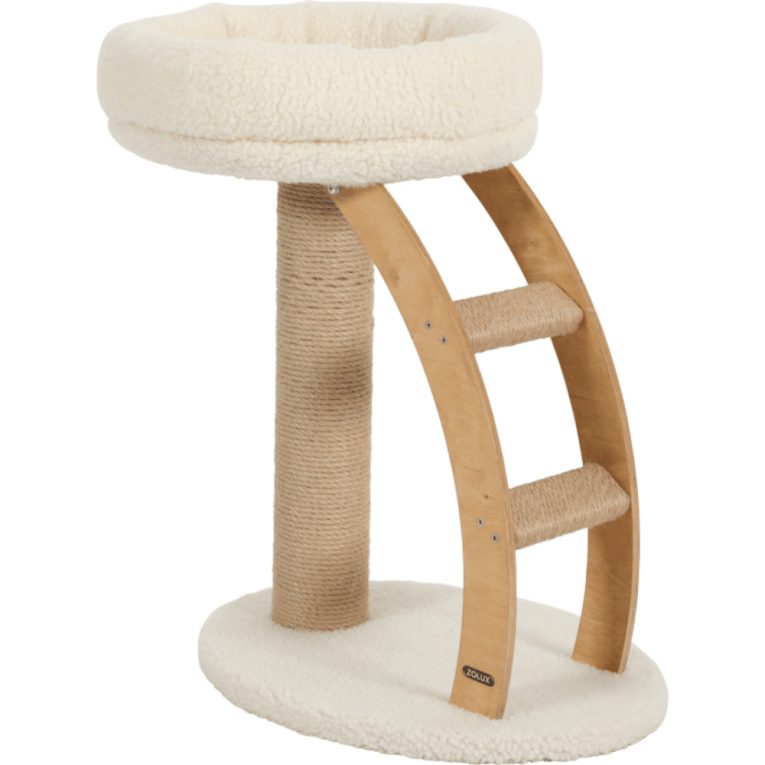 download - 2023-11-10T232104.881 (1)