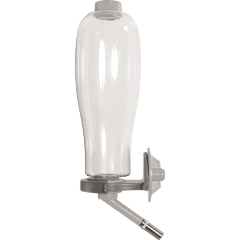 download - 2023-11-11T002243.421 (1)