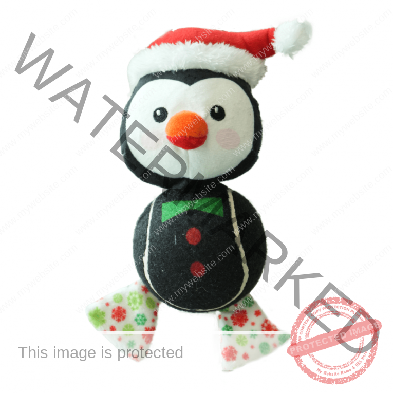download - 2023-11-12T022507.262 (1)