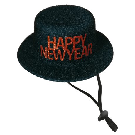 Bobby CHRISTMAS HAT HAPPY NEW YEAR