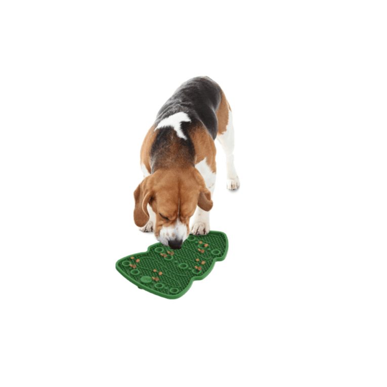 download - 2023-11-12T030059.184 (1)