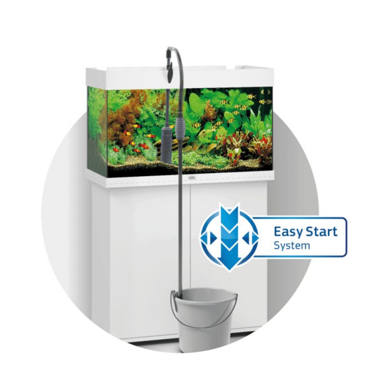 download - 2023-11-12T041046.822 (1)