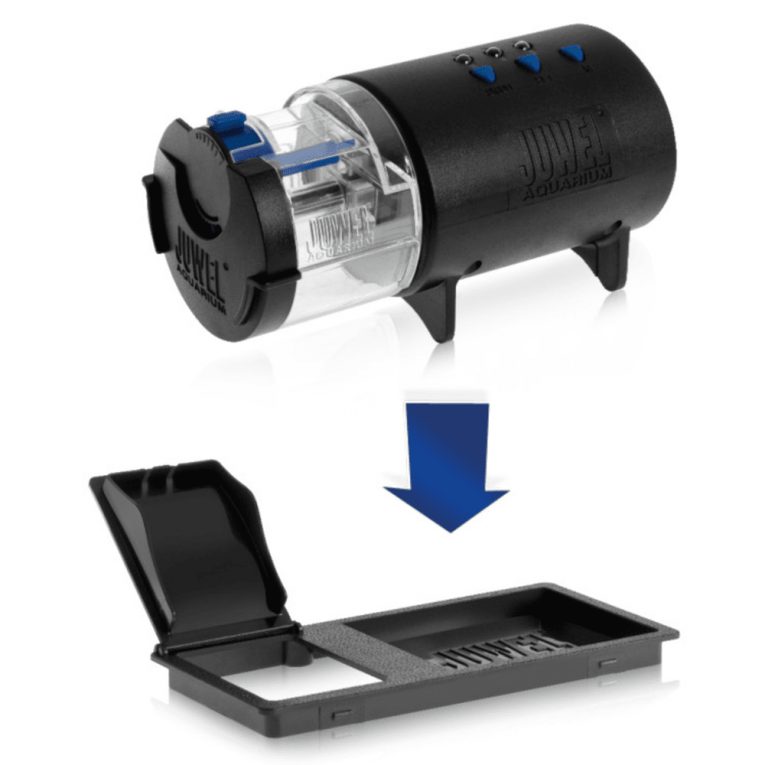 download - 2023-11-12T041319.738 (1)