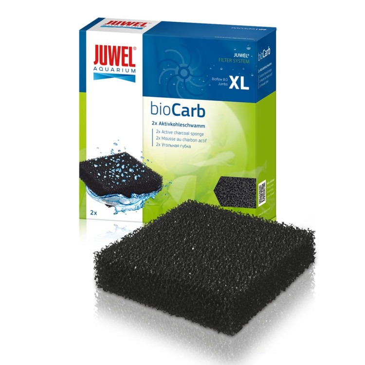 XL