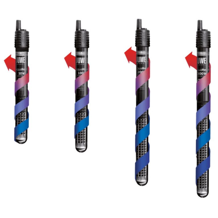 download - 2023-11-12T200729.281 (1)