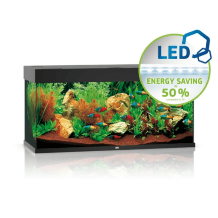 download - 2023-11-14T040751.660 (1)