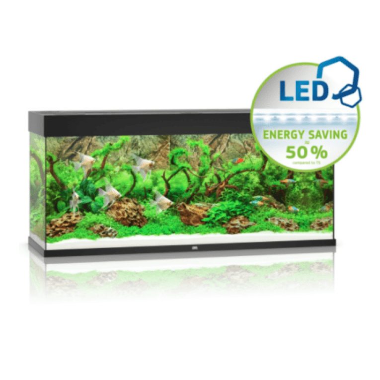 download - 2023-11-14T044809.147 (1)