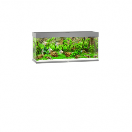 Juwel RIO 240 LED - Grey