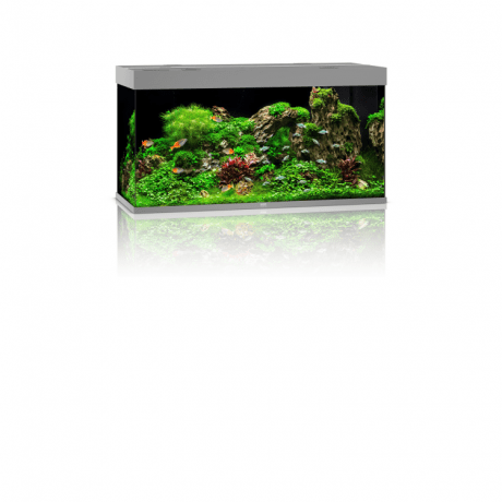 Juwel RIO 350 LED - Grey
