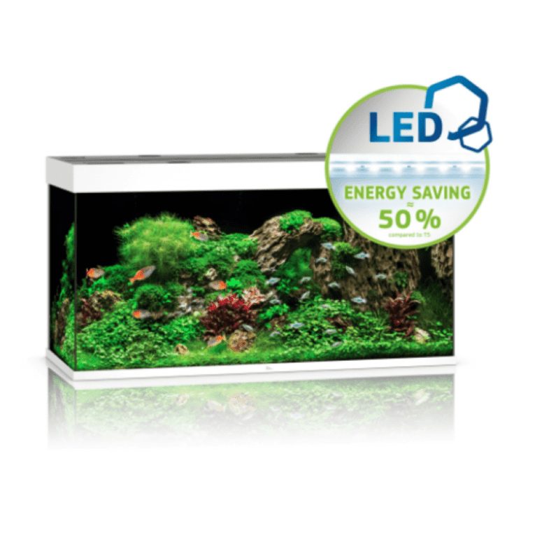 download - 2023-11-14T051218.201 (1)