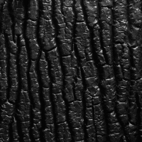 download 2023 11 14T052427.622 1