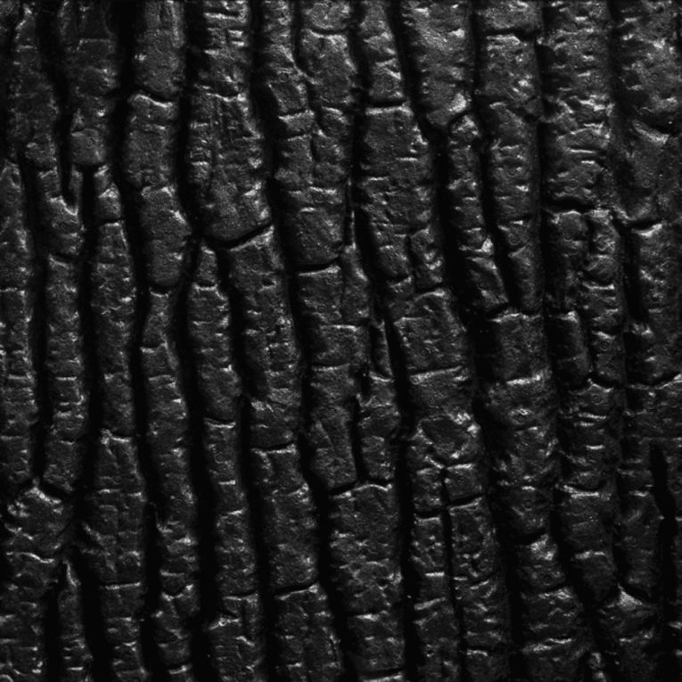 download - 2023-11-14T052427.622 (1)