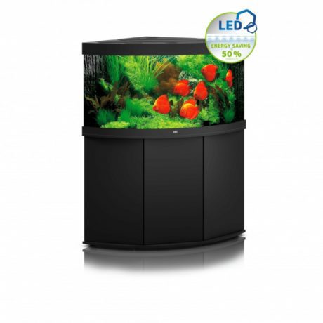 Discover tranquility with Juwel TRIGON 350 LED Aquarium