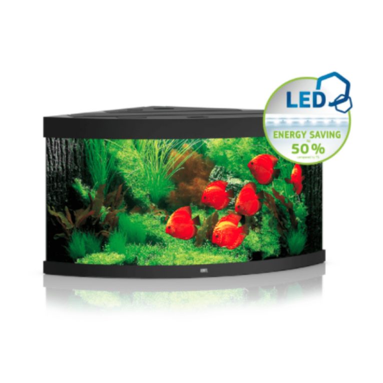 download - 2023-11-14T053939.100 (1)