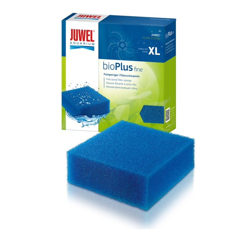 XL