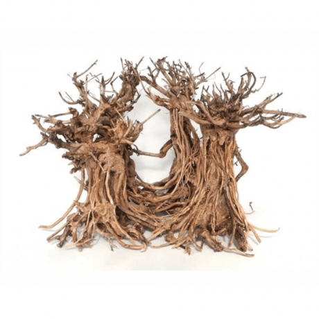 SV Aquarium Deco Dancing Bonsai Wood - Small / 23x30x20cm