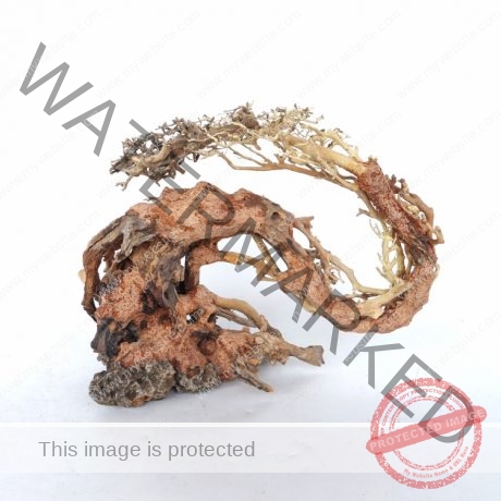 SV Aquarium Deco Dragon-like Wood Tree - Medium / 30x23x13cm / BOX