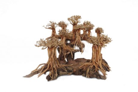 Layout God of Forest