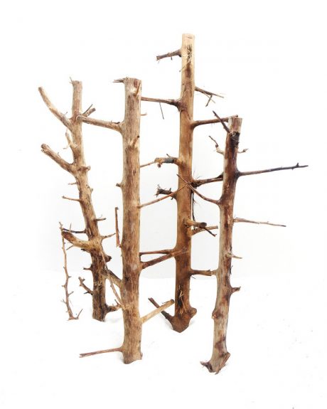 SV Aquarium Deco Long Hands Wood - Medium / 30-45CM / box
