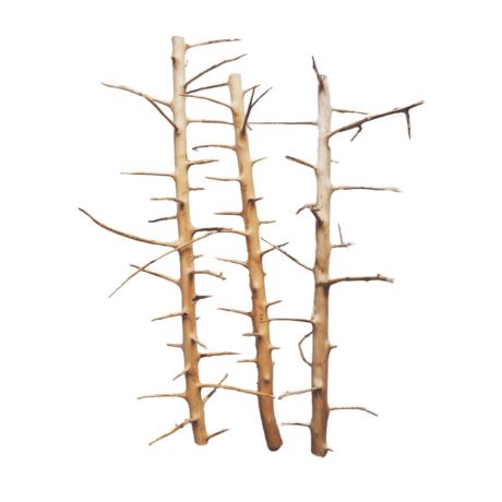 SV Aquarium Deco Long Hands Wood - Small / 20-30CM / box