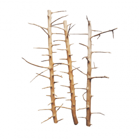 SV Aquarium Deco Long Hands Wood - Small / 20-30CM / box