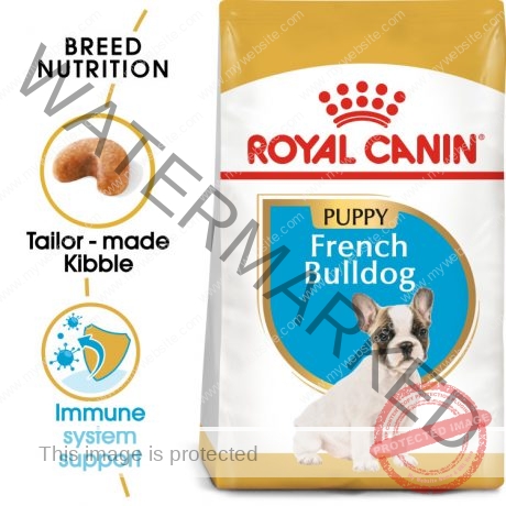 Royal Canin Breed Health Nutrition French Bulldog Puppy 3 KG