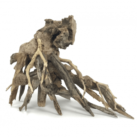 SV Aquarium Deco Octopus Wood - Large / 35x30x17cm / BOX
