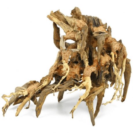 SV Aquarium Deco Octopus Wood - Medium / 30x23x15cm / BOX