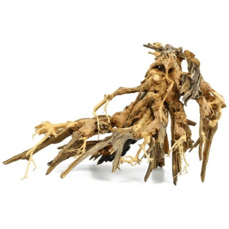 SV Aquarium Deco Octopus Wood - Medium Large / 35x25x17cm / BOX