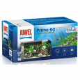 download (52) (1)