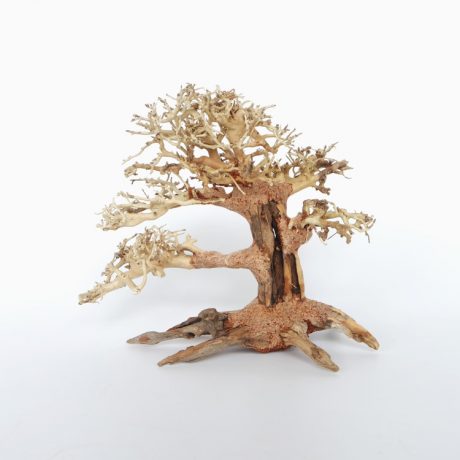 SV Aquarium Deco Pine Bonsai Wood - Small / 23x17x10cm / BOX