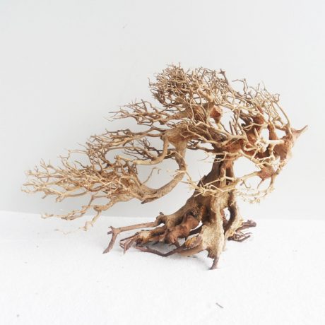 SV Aquarium Deco Romantic Bonsai Wood - Medium / 30x23x13cm / BOX