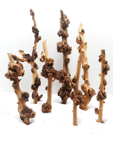 SV Aquarium Deco Sava Wood - Medium / 30-45CM / box