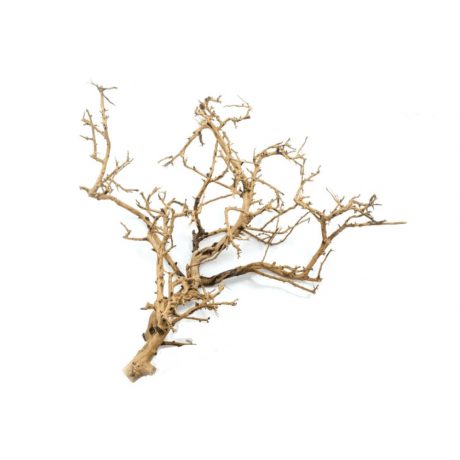 SV Aquarium Deco Tiny Ramous Wood / 20-50CM / pc