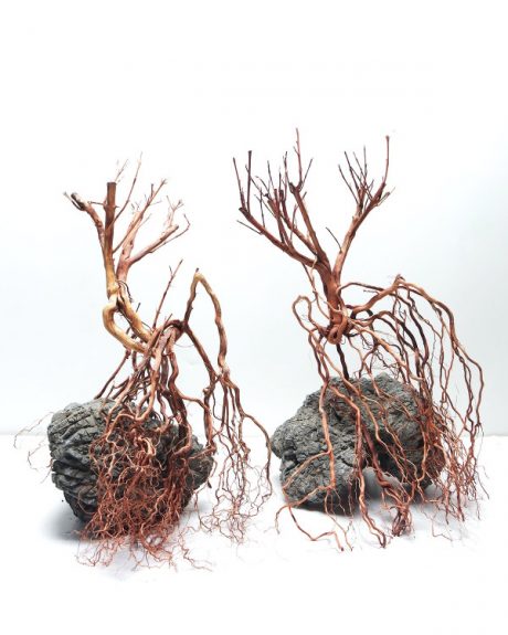 SV Aquarium Deco Whiskers Wood - Small / 20-30CM / box
