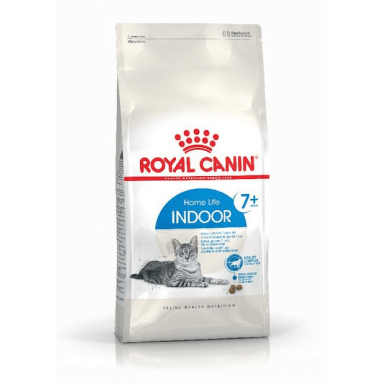 downloadwsx (1) (1)