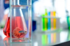 Water Tests
