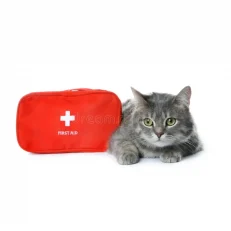 Wounds & First Aid