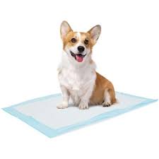 Training Pads