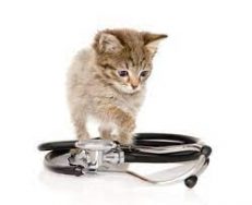 Growth Disorder & Appetite Problems