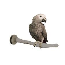 Perches