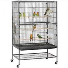 Cages & Stands