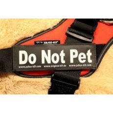Harness labels
