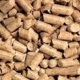 lindopet_2 (1)