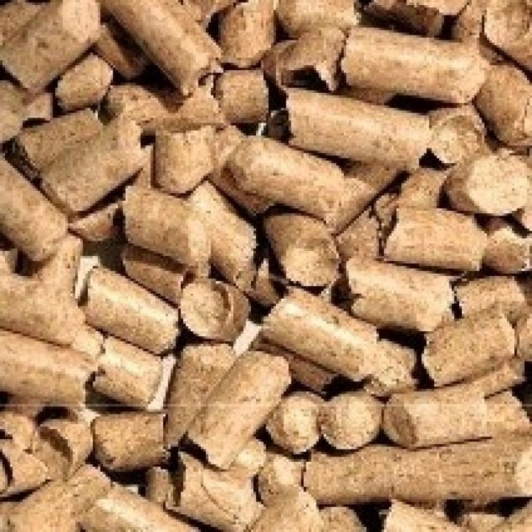 lindopet_2 (1)