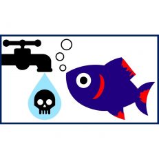 Chlorine & Heavy Metal Treatments