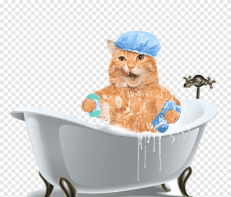 Shampoos & Conditionors